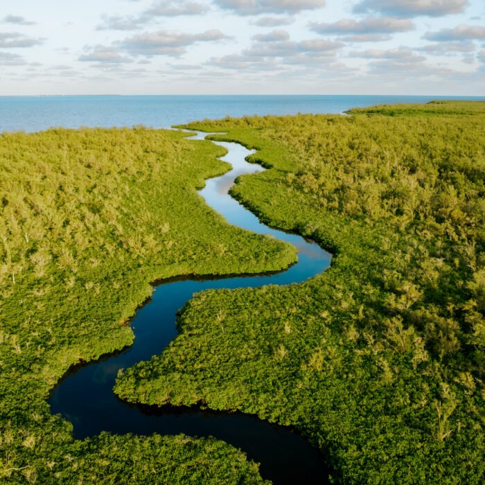 Aerial_Mangroves_GCM