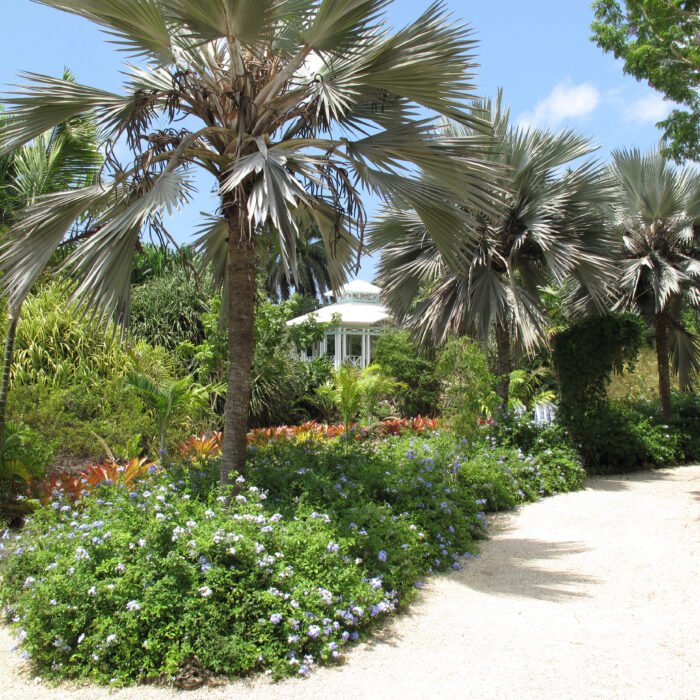 CI-16-GC-BotanicPark-19