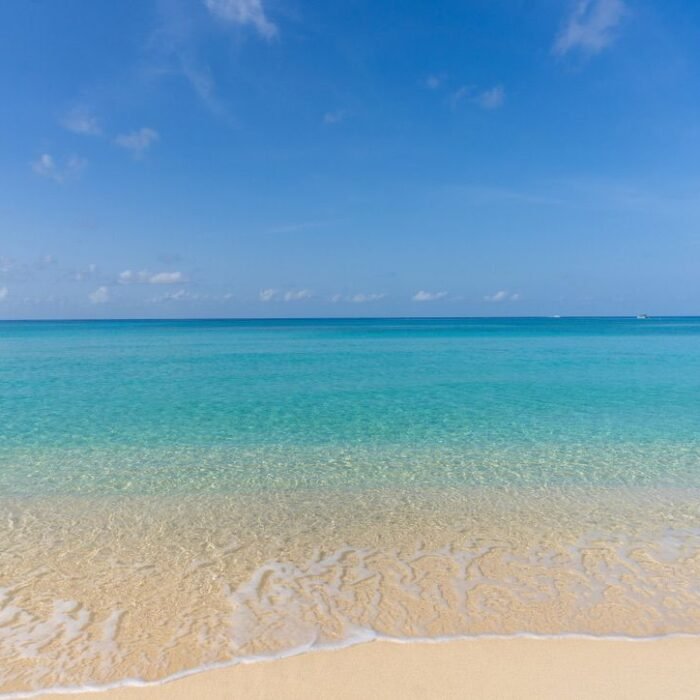 WhatsApp Image 2024-12-03 at 11.37.02_b17f2845