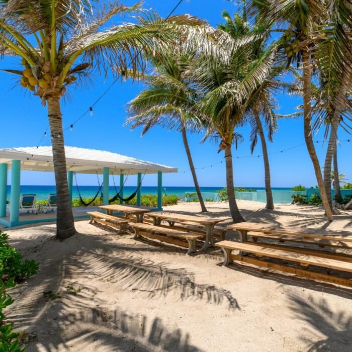 WhatsApp Image 2025-05-20 at 22.15.48_3603d672