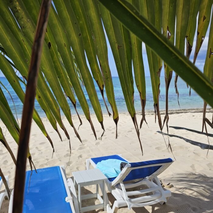 WhatsApp Image 2025-11-28 at 22.19.52_6feeb656