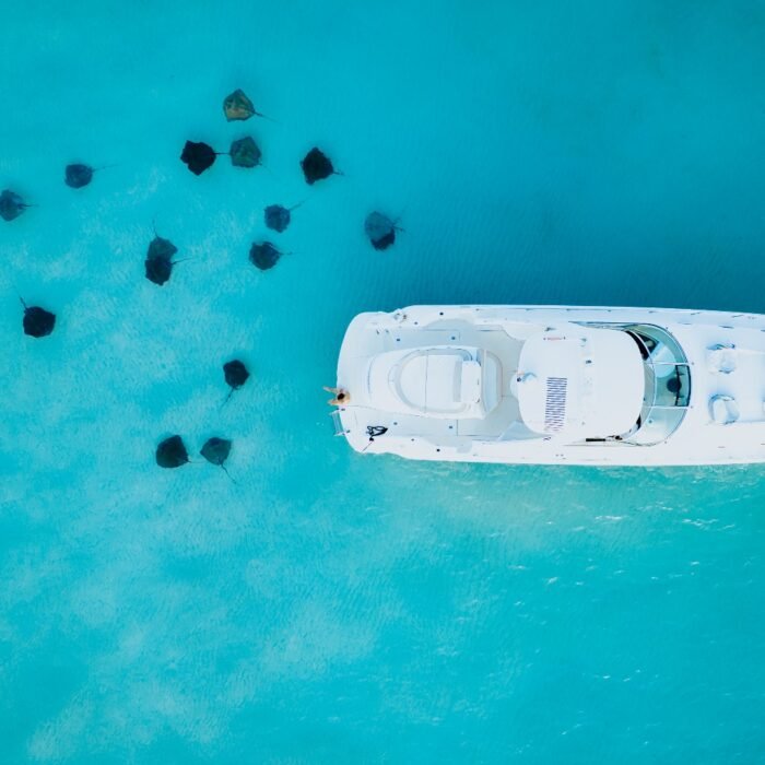 WhatsApp Image 2025-11-28 at 22.25.25_d4378aac