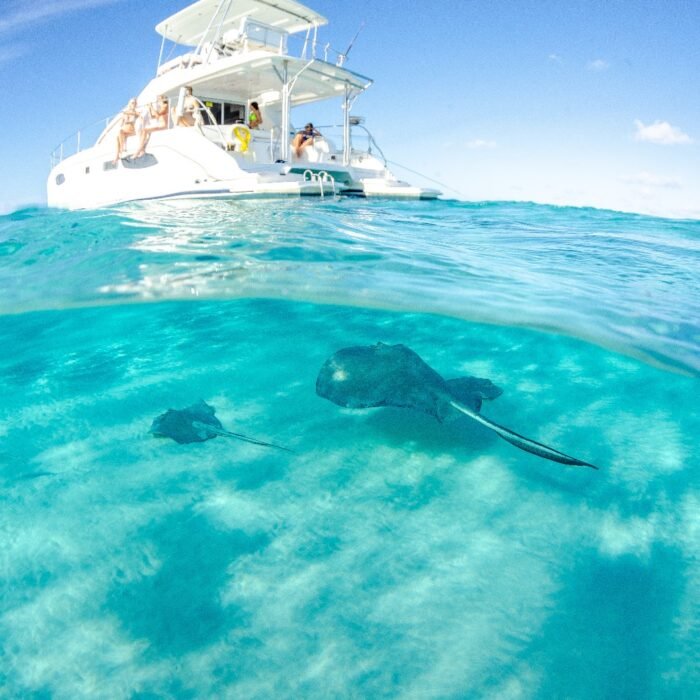 WhatsApp Image 2025-11-28 at 22.25.26_618d975c