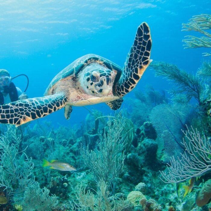 WhatsApp Image 2025-11-28 at 22.25.26_66d2686c