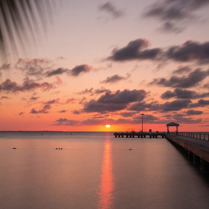 WhatsApp Image 2025-11-28 at 22.25.26_774c21ab