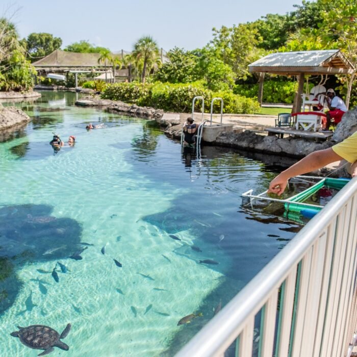 WhatsApp Image 2025-11-28 at 22.25.26_8da5a915