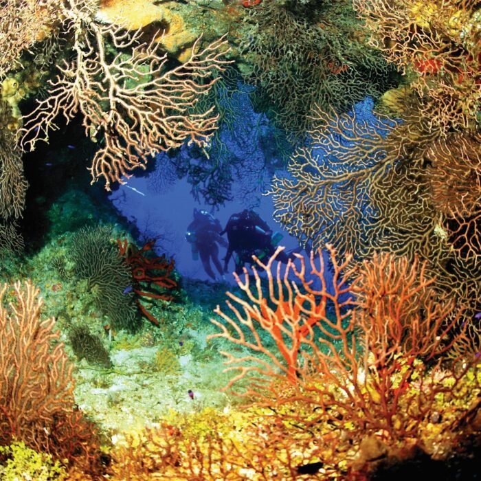 WhatsApp Image 2025-11-28 at 22.25.27_9efc41a1