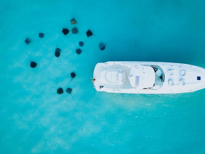 4. Cayman Islands X JRD